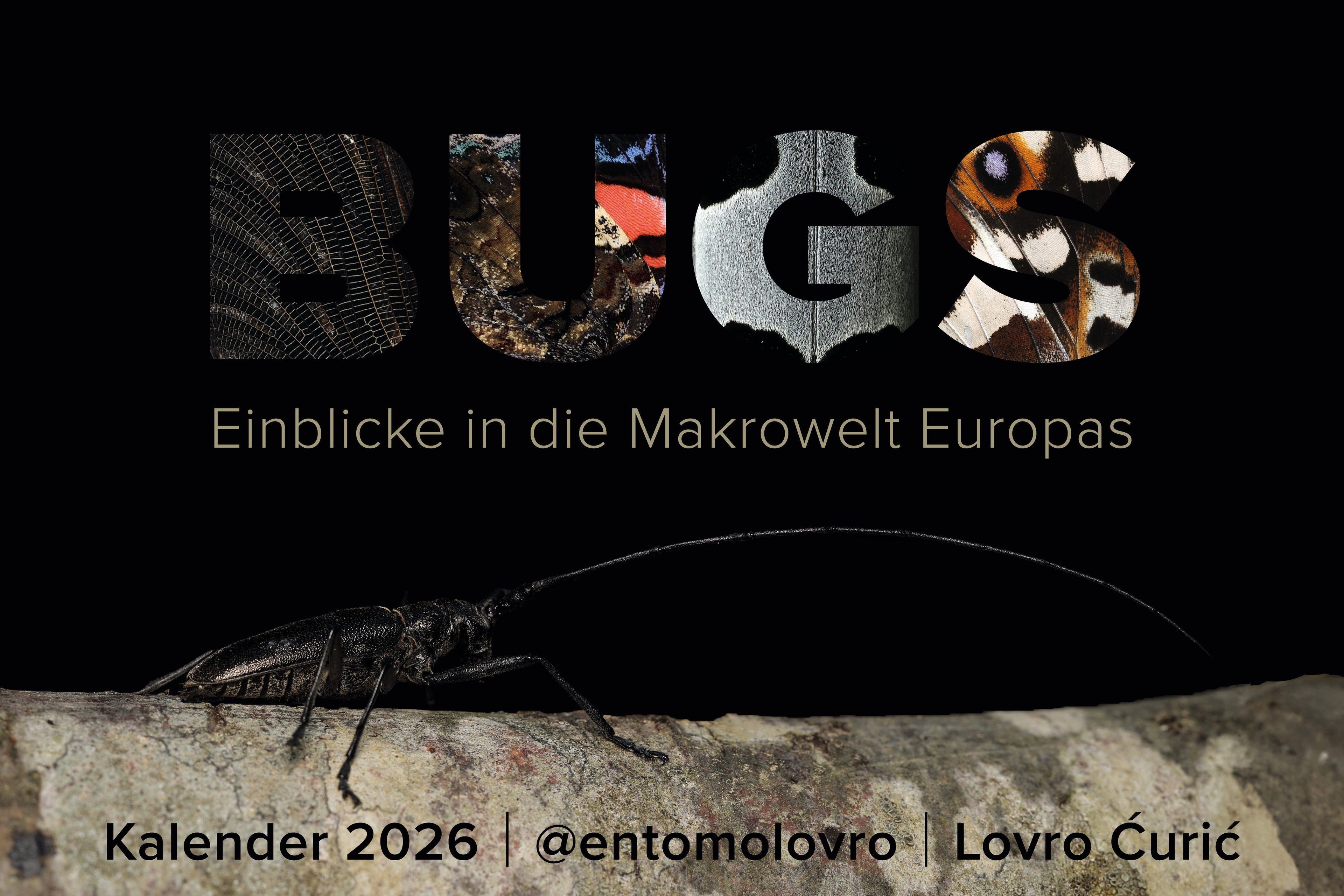 BUGS – Einblicke in die Makrowelt Europas